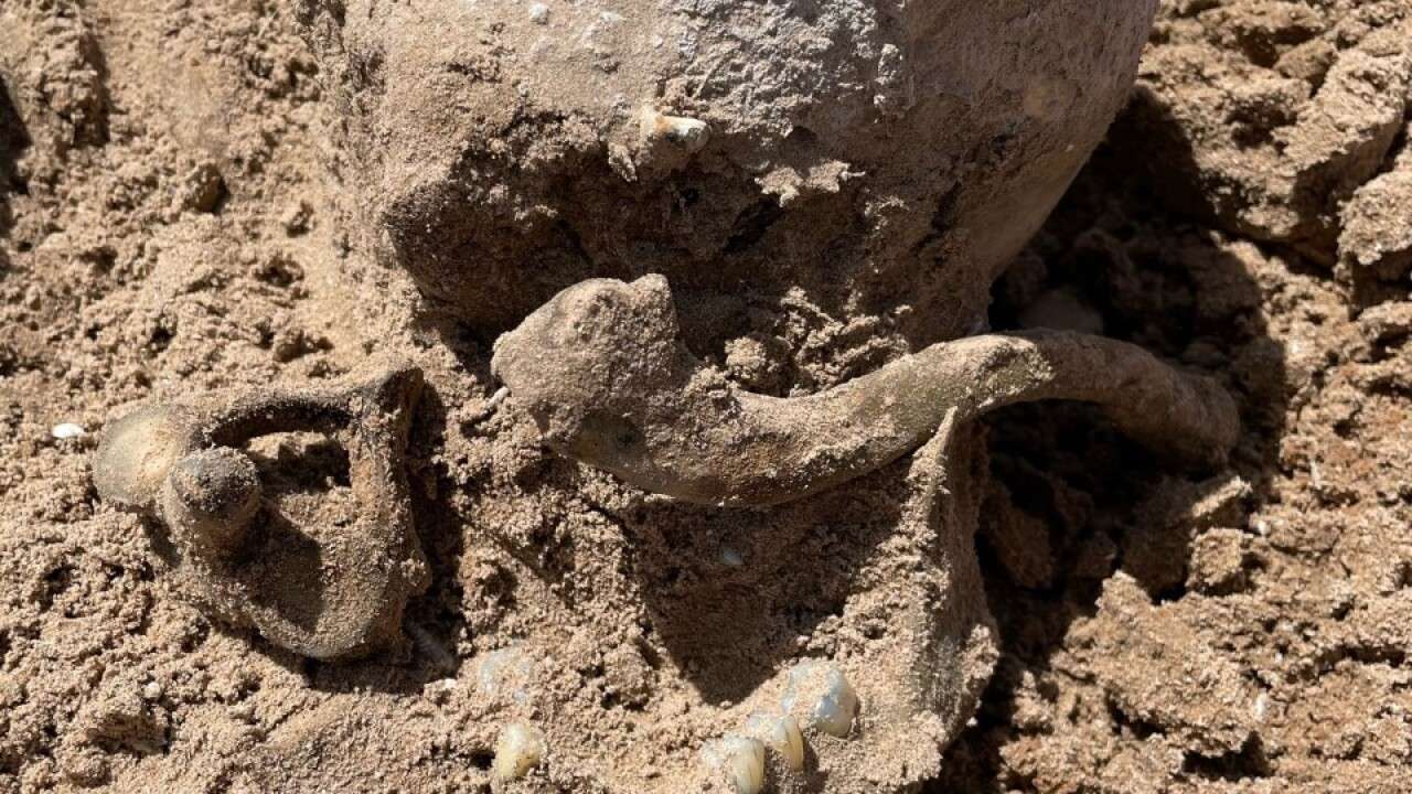 Unearthing Mysteries: Human Remains Found in Lake Mead